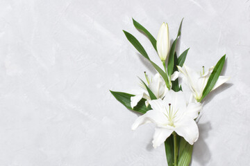 A bouquet of lilies on a gray background with a place for text.