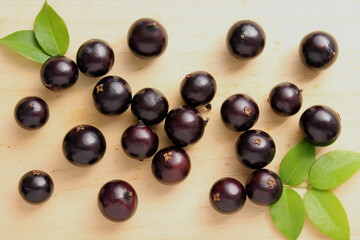 Jaboticaba, exotic fruit typical of Brazil.