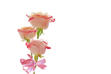 Bouquet of three bright beautiful pink red roses with a pink bow on a white isolated background