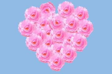 Flower heart made of small bright beautiful white pink roses on a blue isolated background