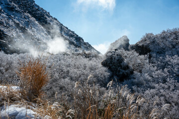 仁田峠の霧氷