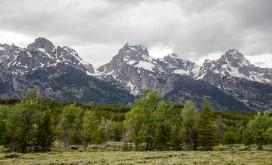 tetons