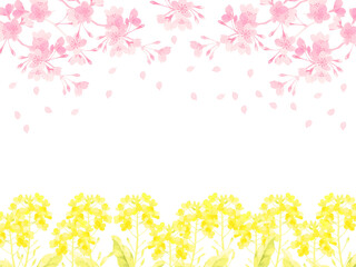 Fototapeta na wymiar 桜と菜の花のフレーム2