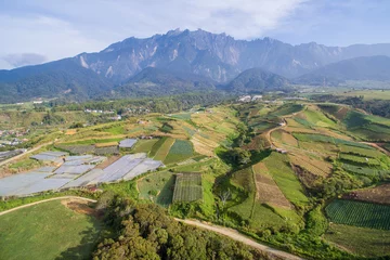 Foto op Canvas aerial view of Kundasang Sabah landscape with cabbage farm and Mount Kinabalu at far background during morning. © Yusnizam Yusof