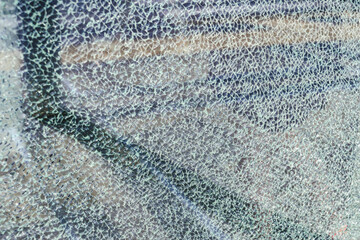 Naklejka premium Close-up, texture, broken tempered glass background.