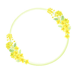 菜の花と黄色い花の円フレーム　水彩イラスト