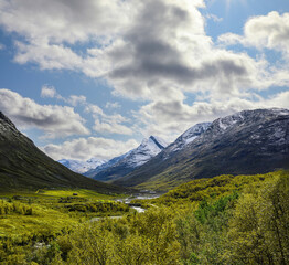 Stream through the beautiful nordic mountain landscape