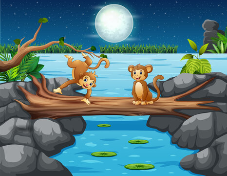 Funny monkeys on a log bridge at night landscape
