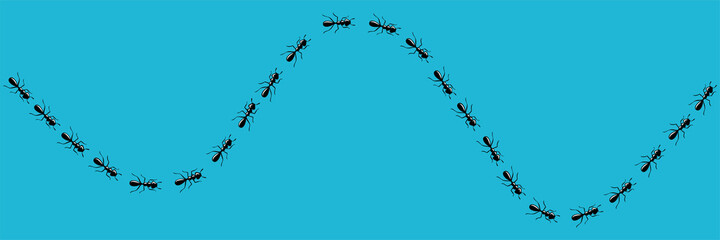 Ants trail. Route or path of worker ants isolated in blue background. Vector illustration