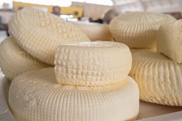 Closeup of piles of round homemade traditional cheese in the market in Georgia