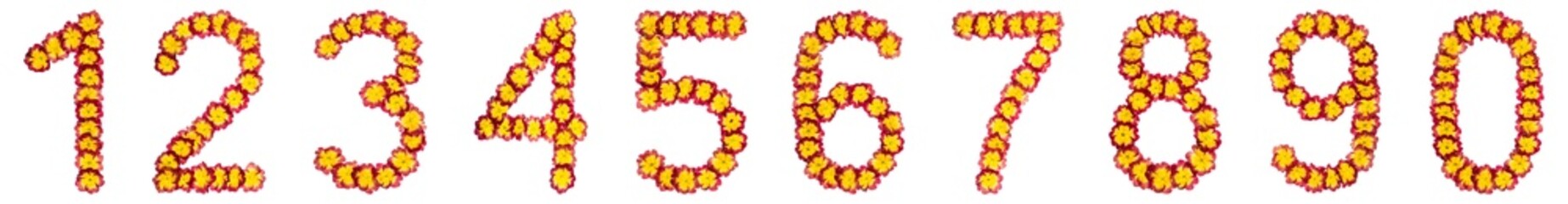 Set of arabic numbers, from natural flowers of primula, isolated on white background