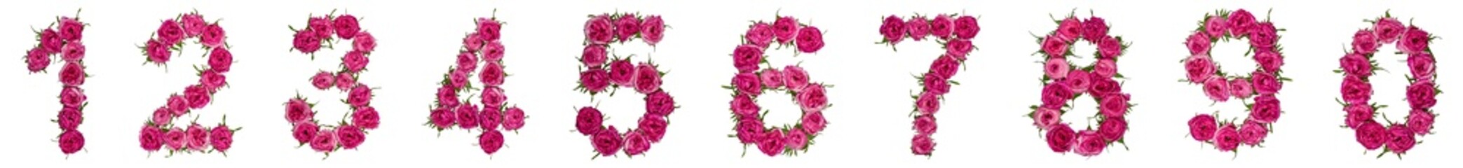 Set of arabic numbers from natural red flowers of roses, isolated on white background