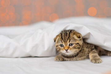 A small striped kitten lying on a white blanket against the background of yellow lanterns.