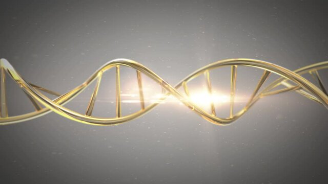 Golden 3d model animation of DNA structure with particles and flare on Millennium silver metallic color background
