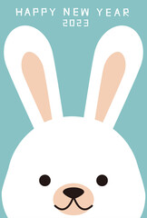 年賀状2023　兎　アップ　水色