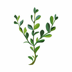 Leaves and branches greenery elements of ficus. Modern small bush rubber plant on white background. Vector illustration.