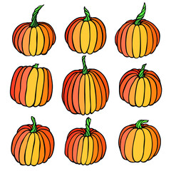 Vector hand drawn illustration of pumpkin. Isolated object on white background. Vegetable harvest clip art. Farm market product. Elements for autumn design, decoration.
