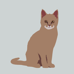 illustration of an orange cat with orange eyes