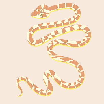 Vector image of a brown snake gliding in action. Cute, funny snake.