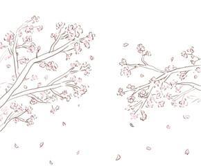 シンプルなさくらの木のフレーム