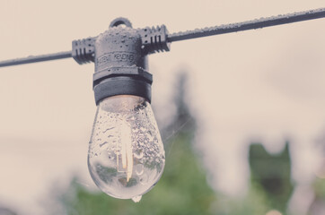 Light bulb in the backyard