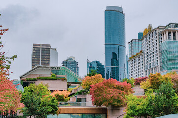 Autumn trees in downtown Vancouver