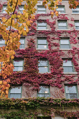 The Sylvia Hotel in Autumn