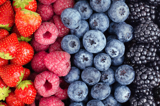 background of strawberries, raspberries, blueberries and blackberries laid out in a row