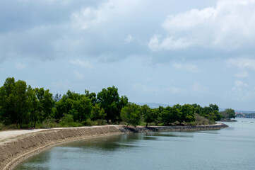 river and trees