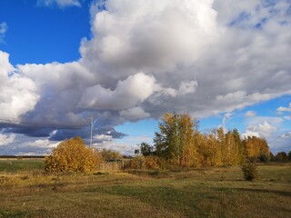autumn landscape with trees