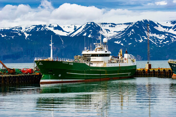 Whale Watching Tour Husavik Island