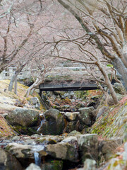 Obraz premium old car