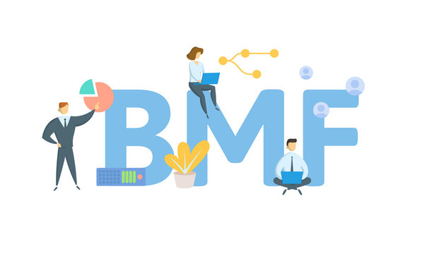 BMF, Business Master File. Concept with keyword, people and icons. Flat vector illustration. Isolated on white.