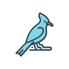 Color illustration icon for jay bird