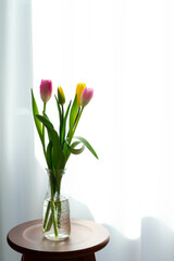 日差しがさすリビングのカーテン越し置かれた花瓶に入った黄色とピンクのチューリップ