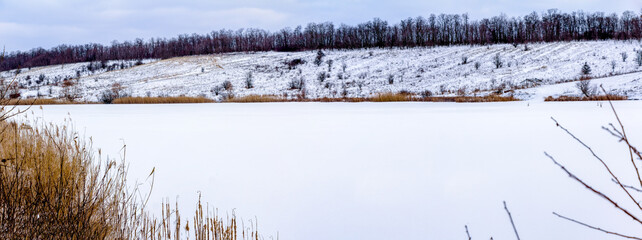 A frozen lake covered with white snow, trees grow along the banks. Ukraine