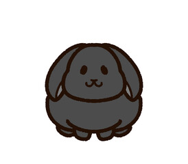 かわいいウサギ　垂れ耳