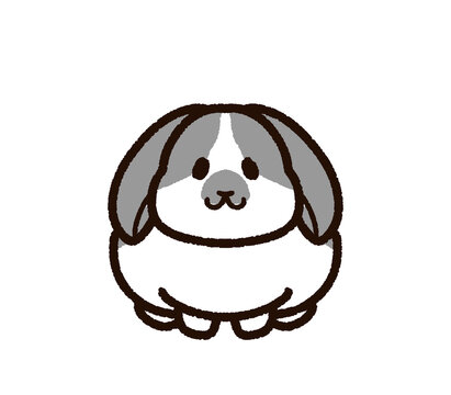 垂れ耳うさぎ の画像 133 件の Stock 写真 ベクターおよびビデオ Adobe Stock