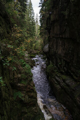 Mountain river near Kamienczyk Waterfall in the Polish Sudetes near the town of Szklarska Poreba. © Sergey Kohl