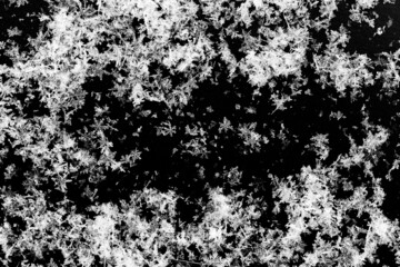 White snowflakes on a black background surface. Macro nature pattern backdrop.