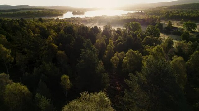 Aerial drone footage flying through a green canopy of forest trees over peat bog, moorland and fields towards a sunrise reflecting in Loch Kinord, at Muir of Dinnet National Nature Reserve, Scotland