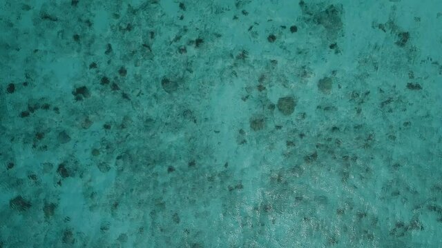 Blue sea at the kenepa beach in Curacao