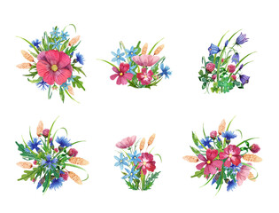 Wildflowers watercolor arrangements set. Handdrawn cosmos flowers, bells, clovers, cornflowers, ears, leaves. Bouquet isolated on white.