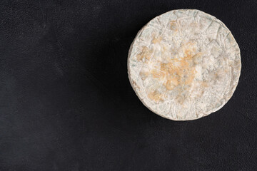 Cheese with blue mold. Place for text.