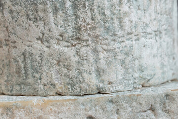 Cheese with blue mold. Gorgonzola. Homemade.