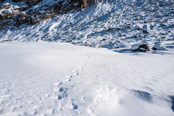 track in the snow