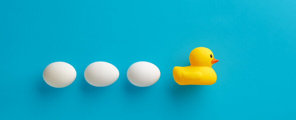 Toy rubber duck lays her eggs on blue background. Duck reproduction.