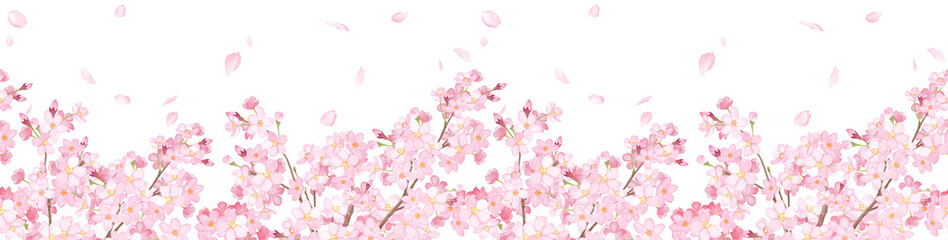 Obraz na płótnie Canvas 桜と散る花びらの横方向シームレスパターン。水彩イラスト。フレーム装飾。