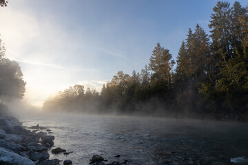 river in fogg, sunlight comes through the foggy air, golden hour in the morning, warmlight in the cold, bright shining forrest