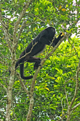 Xunantunich Mayan Ruins